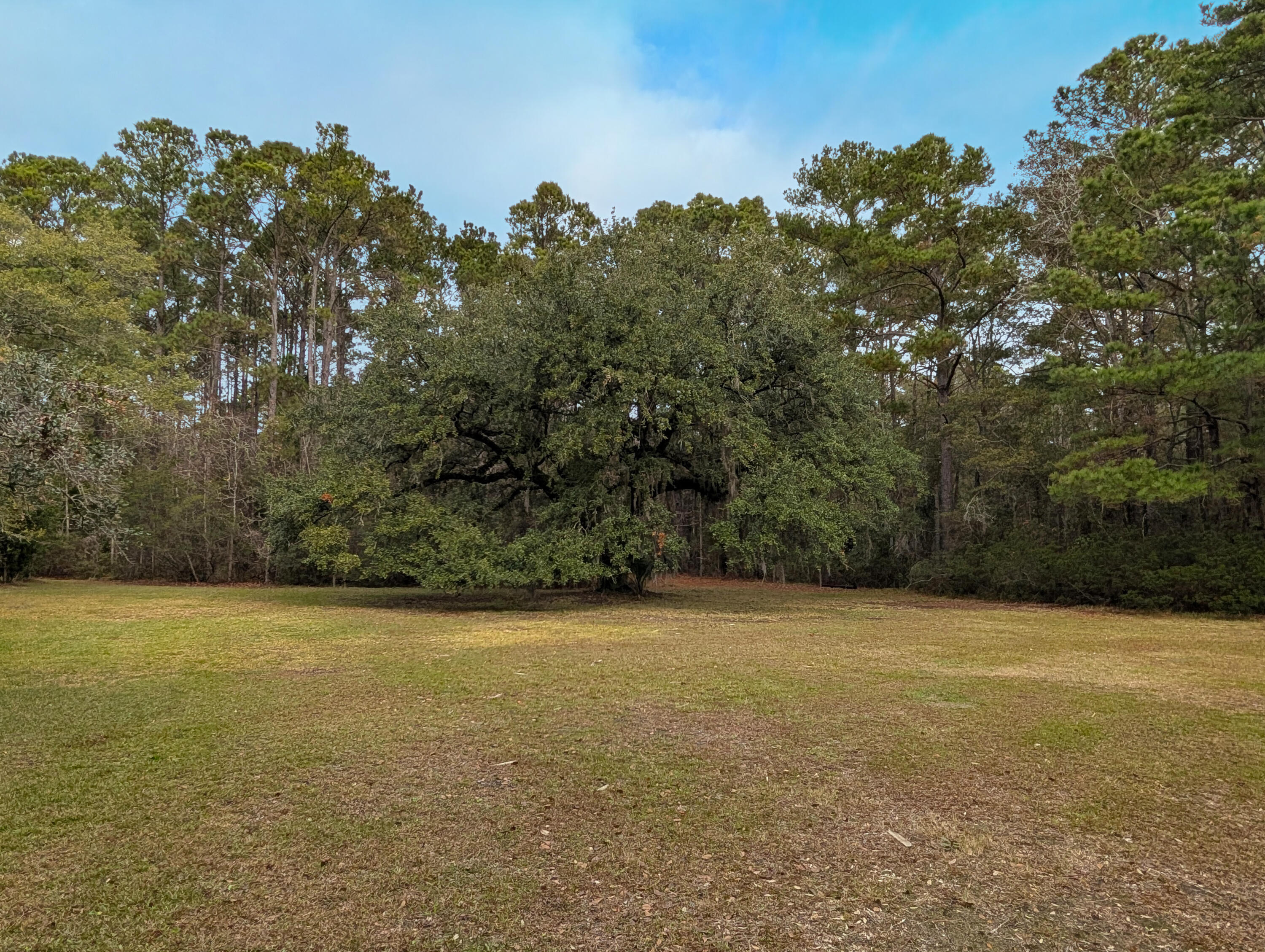 9715 2 Pines Road McClellanville, SC 29458 - Photo 41 of 55 30-Oak