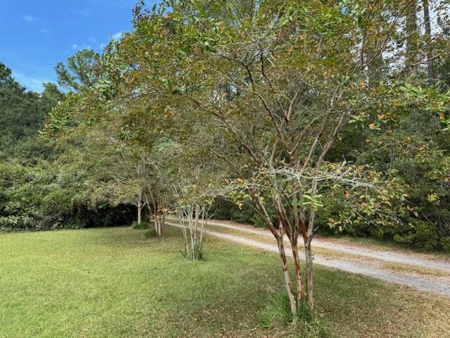 9715 2 Pines Road McClellanville, SC 29458 - Photo 47 of 55 Driveway