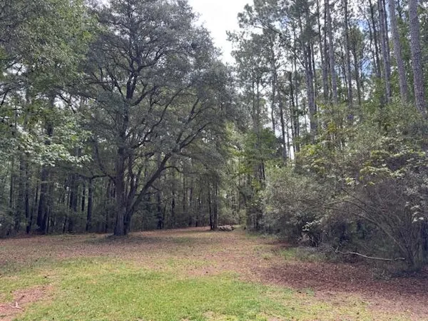 $2,950,000 | 9715 2 Pines Road, McClellanville, SC 29458