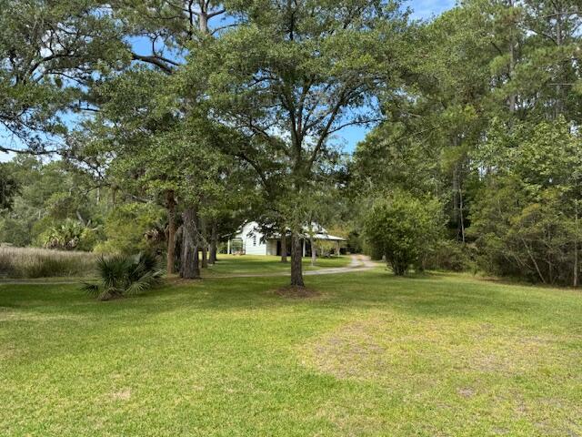 9715 2 Pines Road McClellanville, SC 29458 - Photo 51 of 55 Lawn