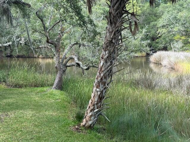 9715 2 Pines Road McClellanville, SC 29458 - Photo 8 of 55 Pond