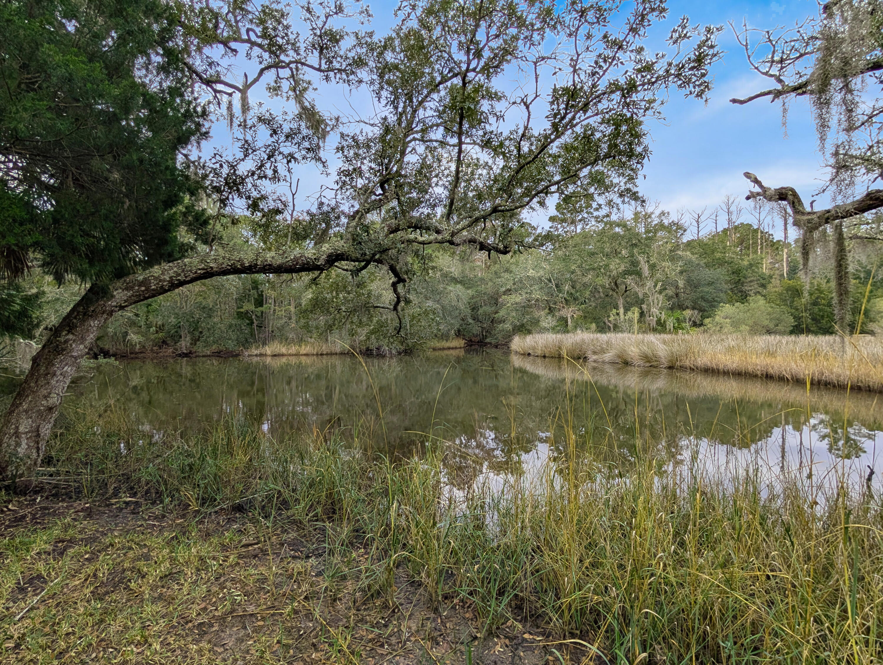 9715 2 Pines Road McClellanville, SC 29458 - Photo 10 of 55 7-Pond