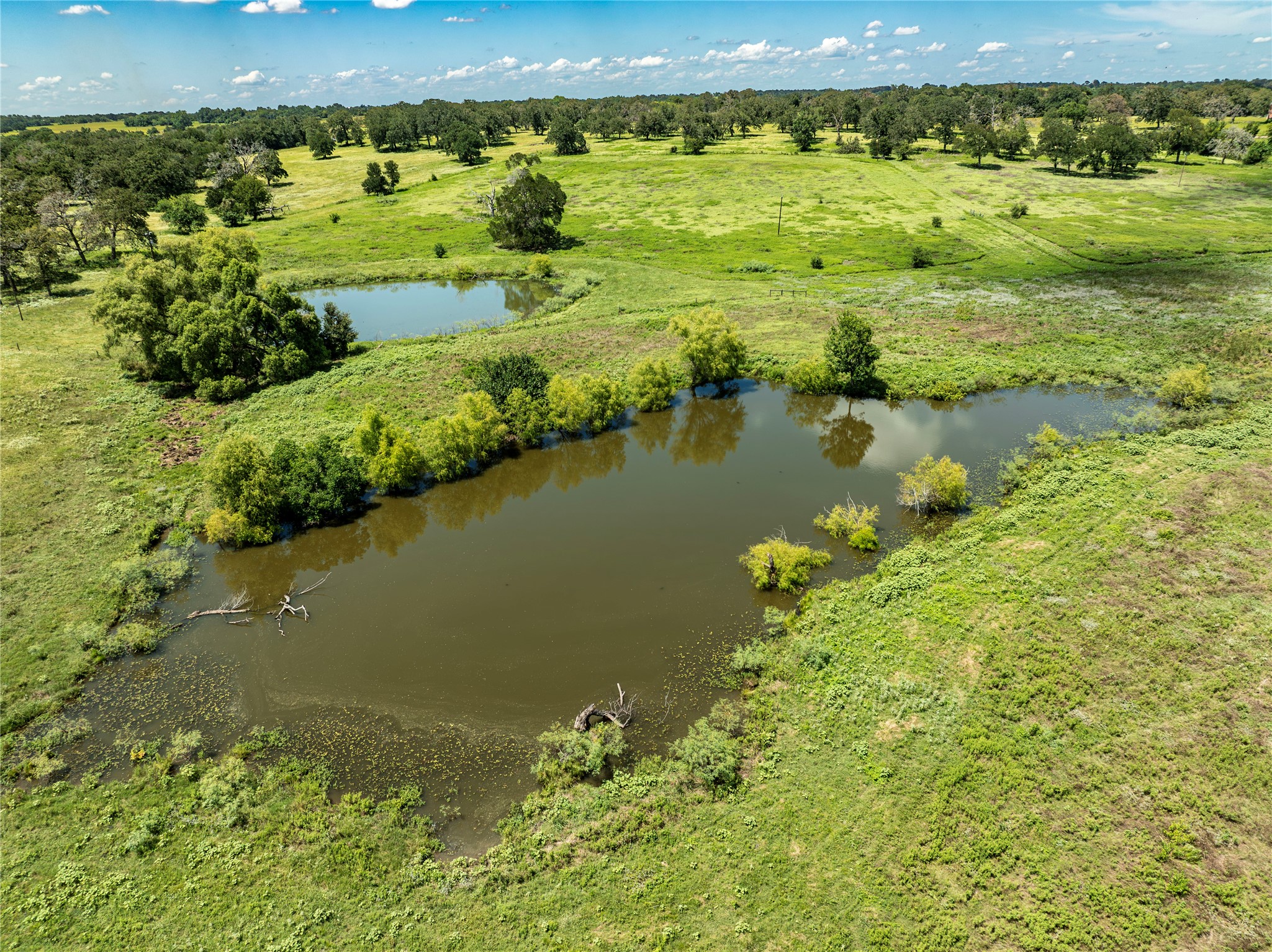 Lot 8 Mill Creek Ranch Road Bellville, TX 77418 - Photo 18 of 20