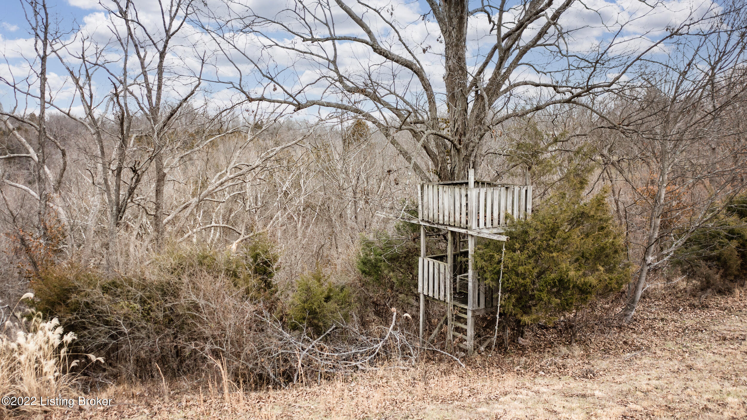 2319 Rebel Ridge Road La Grange, KY 40031 - Photo 28 of 40 26-tree house
