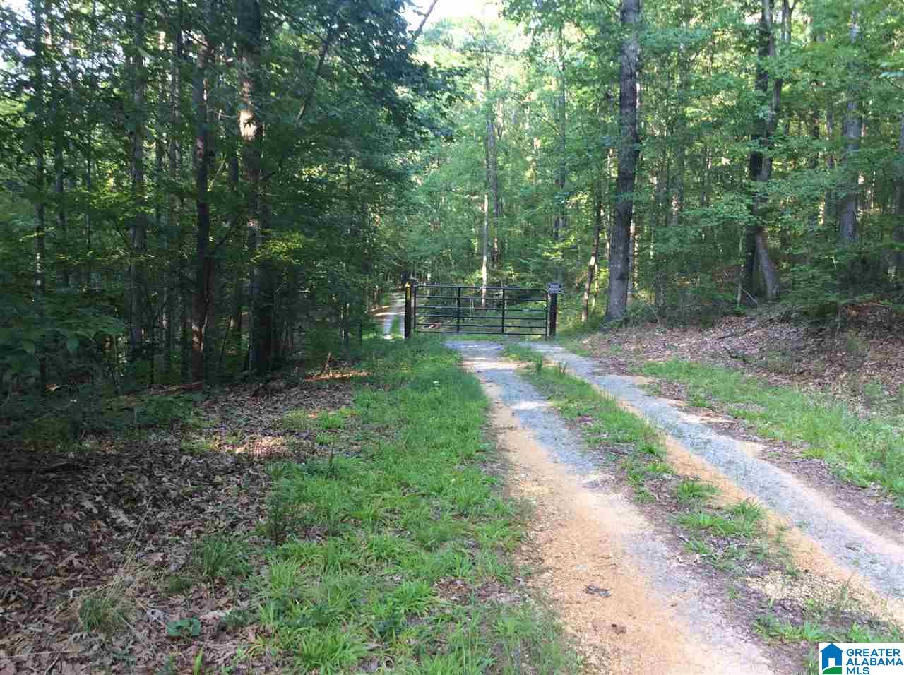 0 Berrington Lane Springville, AL 35146 - Photo 4 of 17