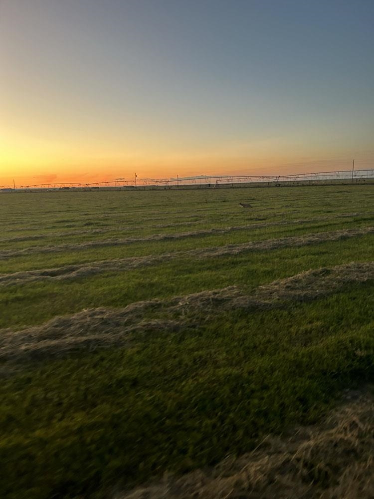 38 Rye Patch Road Farson, WY 82932 - Photo 44 of 50