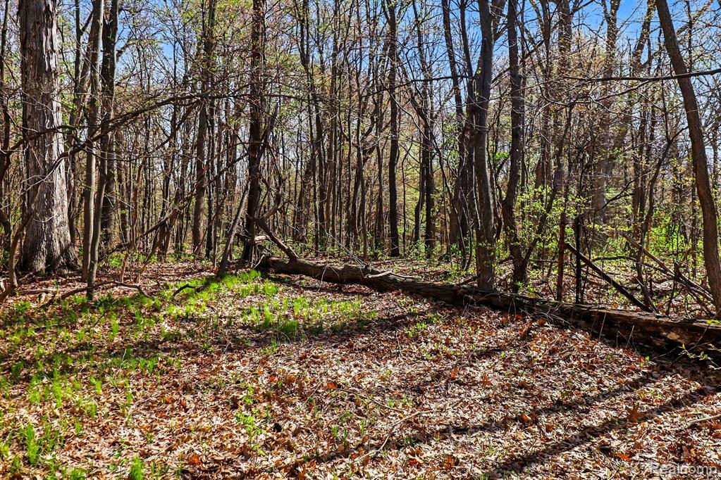 8815 Milford Road Holly, MI 48442 - Photo 24 of 52
