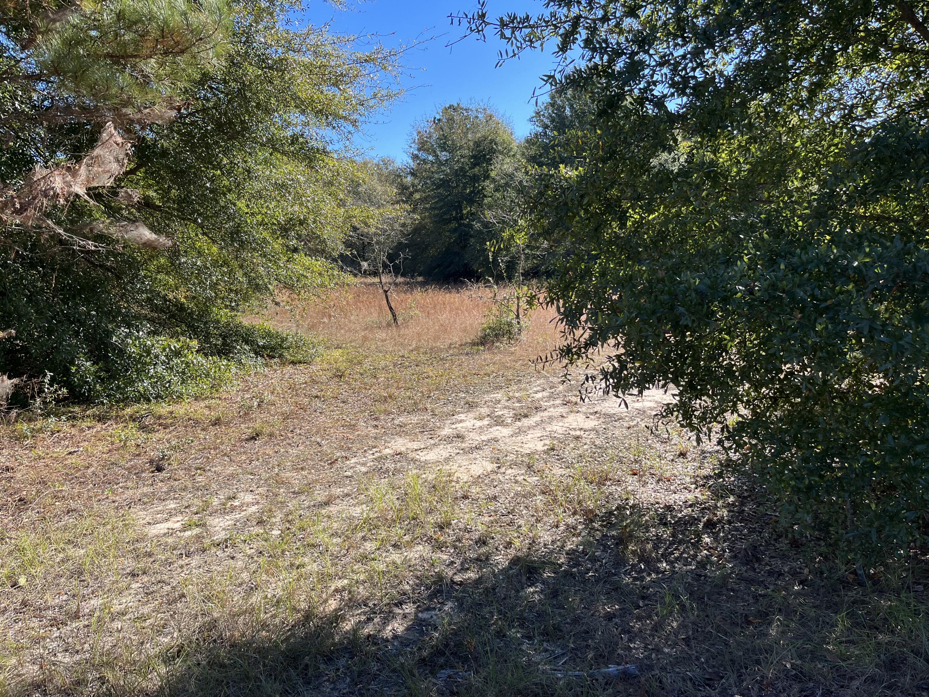 786 Done Roven Road Augusta, GA 30906 - Photo 1 of 1 IMG_2286