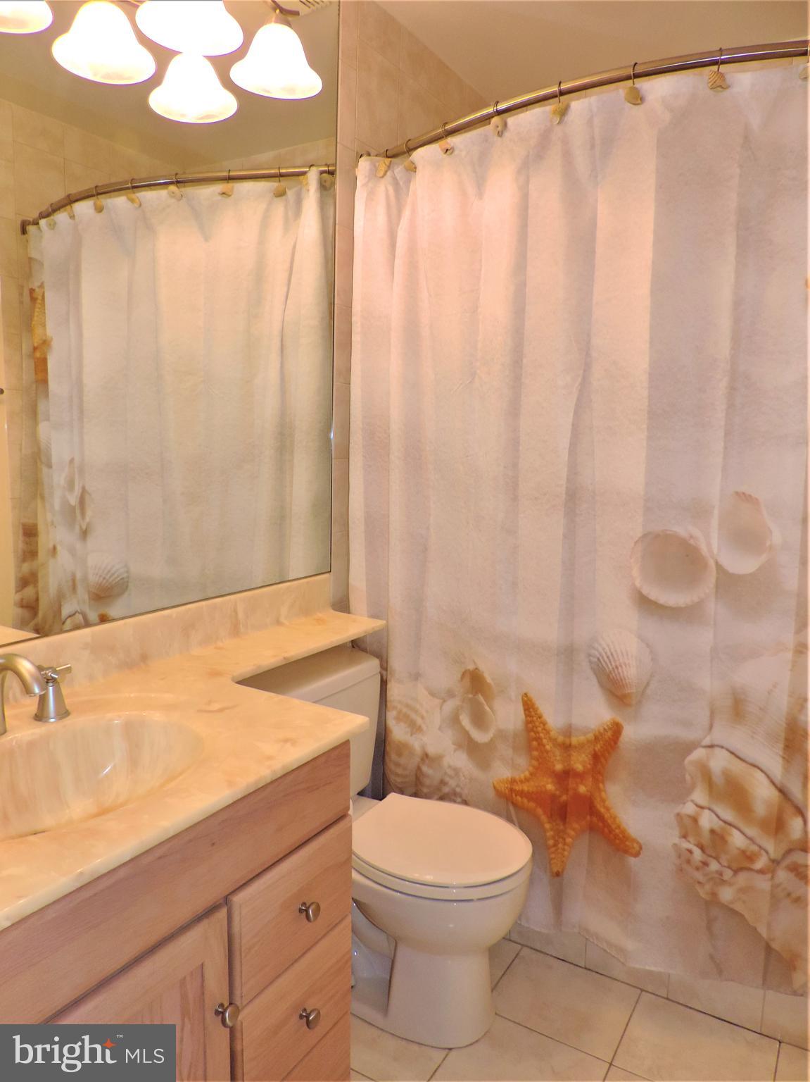 1111 Ingate Road, Unit 1111 Halethorpe, MD 21227 - Photo 14 of 36 Primary Bathroom