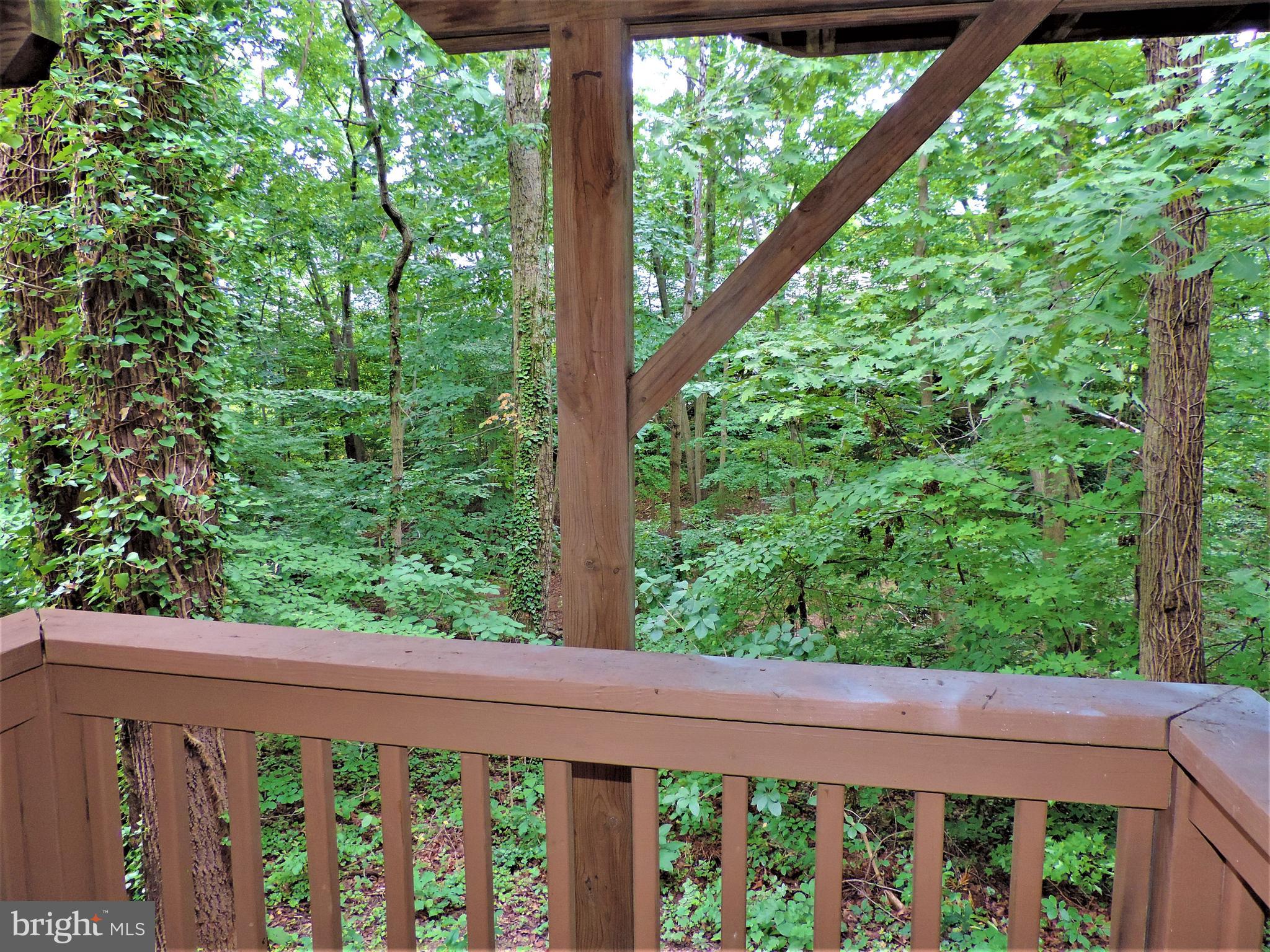 1111 Ingate Road, Unit 1111 Halethorpe, MD 21227 - Photo 29 of 36 Lower Level Deck Stairs
