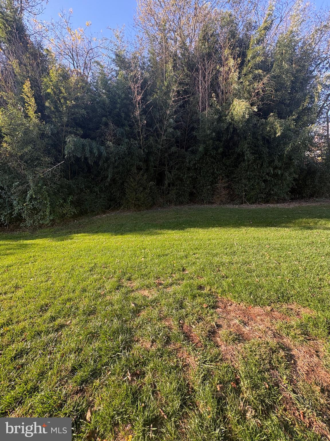 410 Maple Run Drive York, PA 17404 - Photo 5 of 19 a view of a large pool with lawn chairs under an umbrella