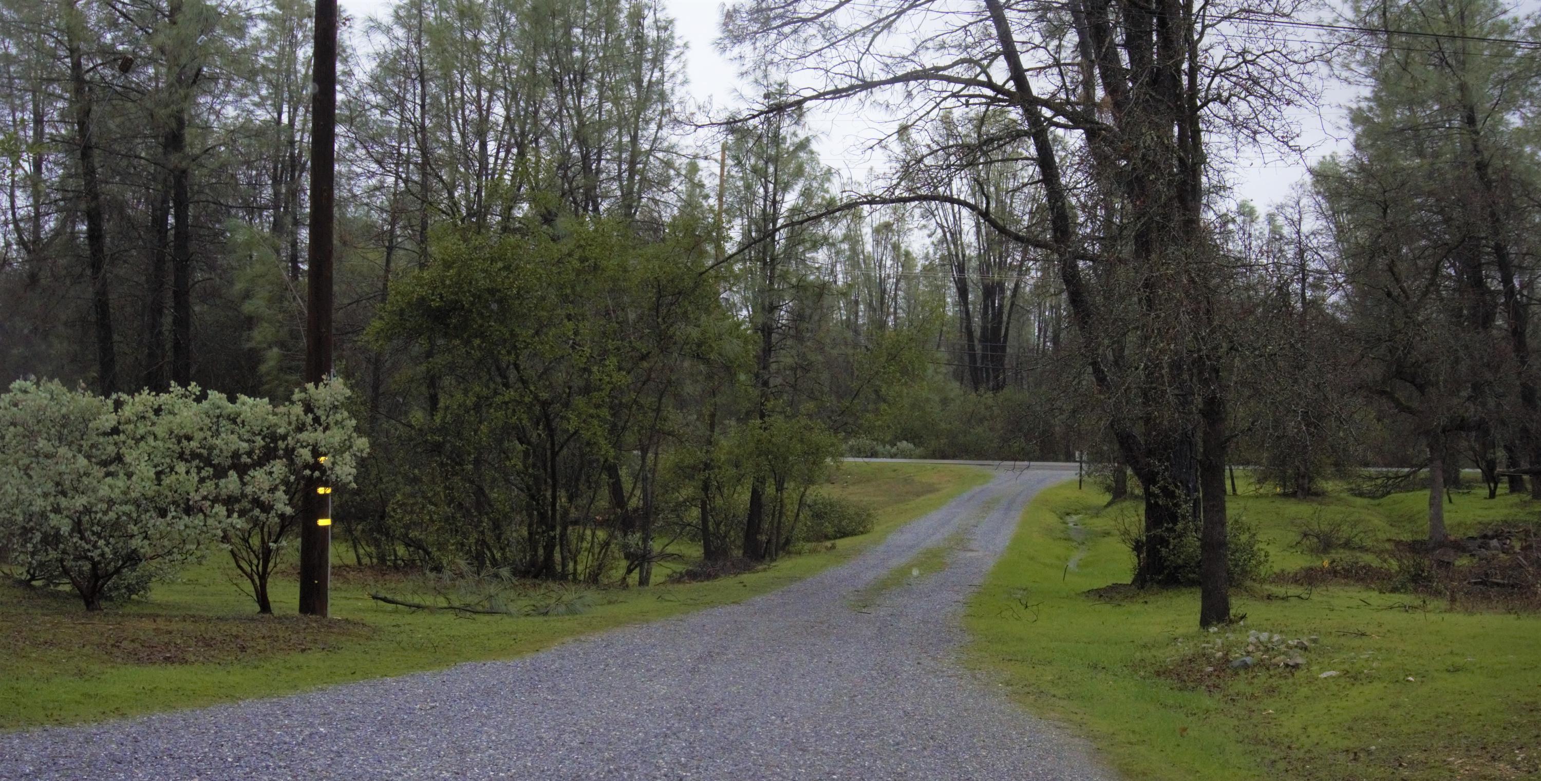 3083 Keswick Dam Road Redding, CA 96003 - Photo 7 of 19 a view of a park with large trees