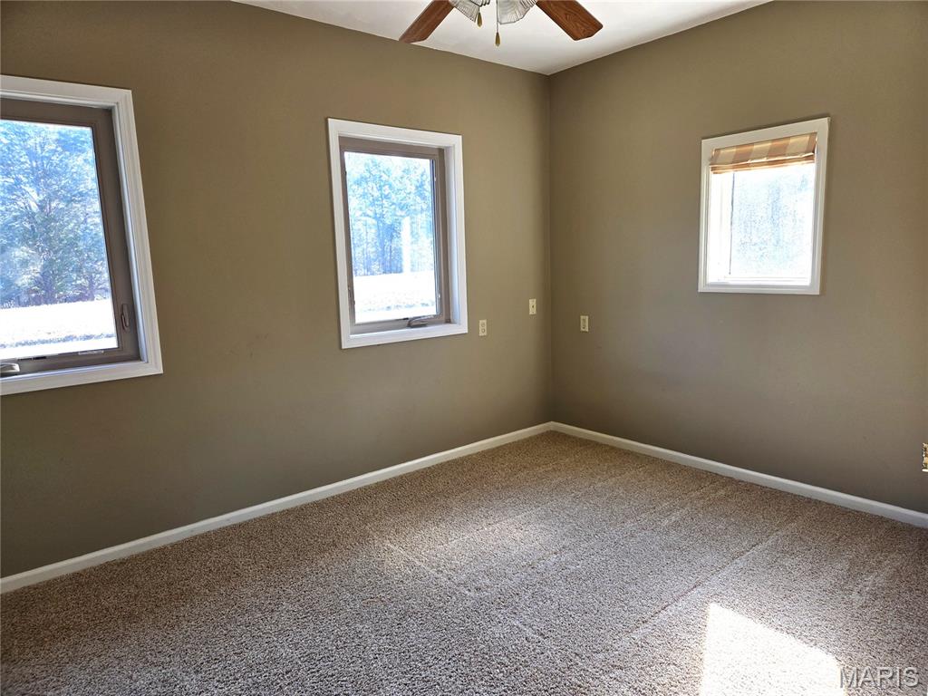 11074 Scorpion Road Festus, MO 63028 - Photo 17 of 40