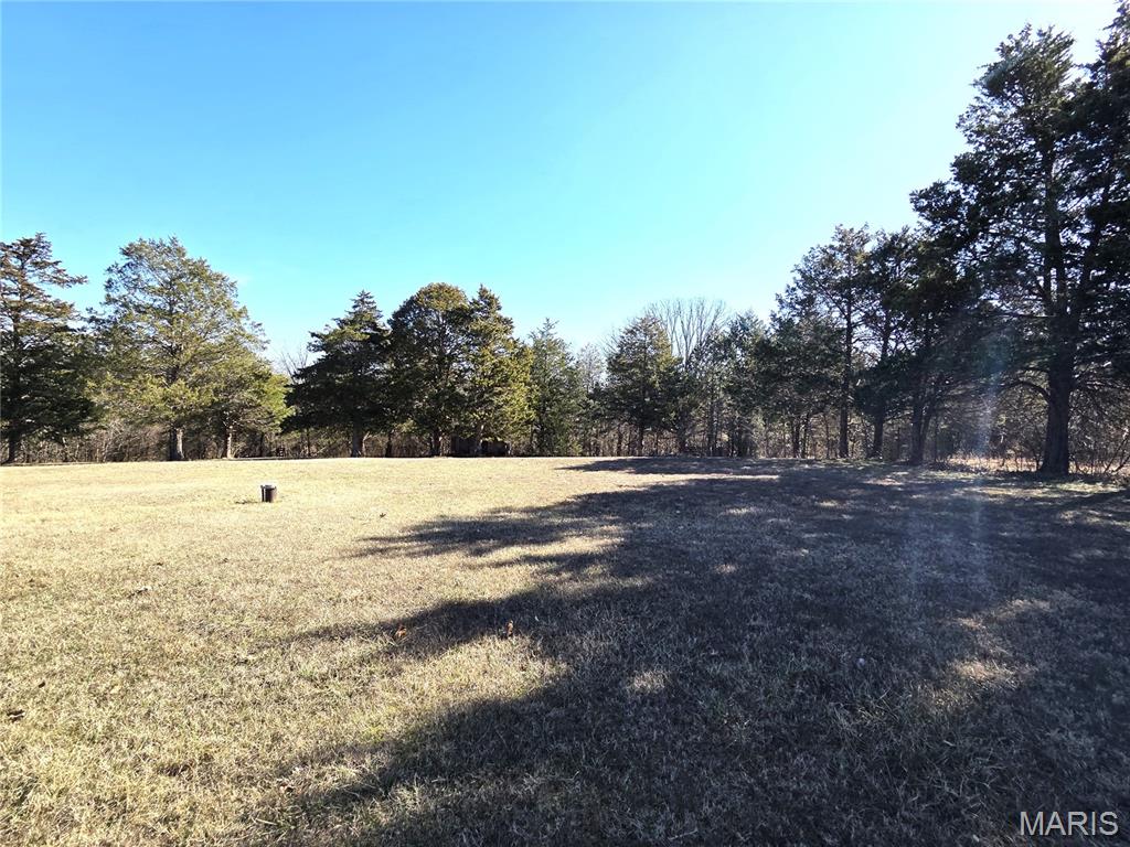 11074 Scorpion Road Festus, MO 63028 - Photo 31 of 40