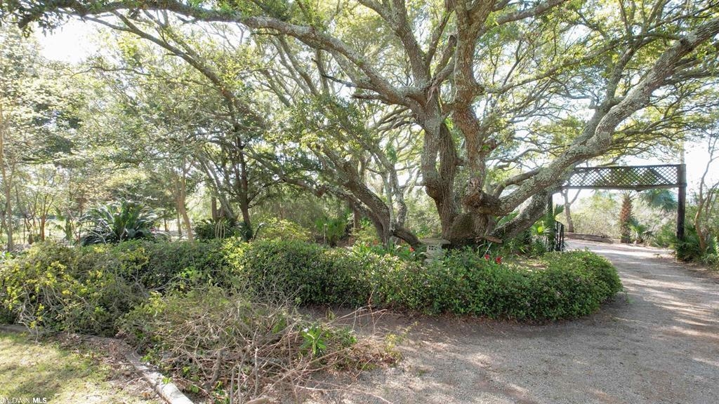 554 Windmill Ridge Road Gulf Shores, AL 36542 - Photo 27 of 27