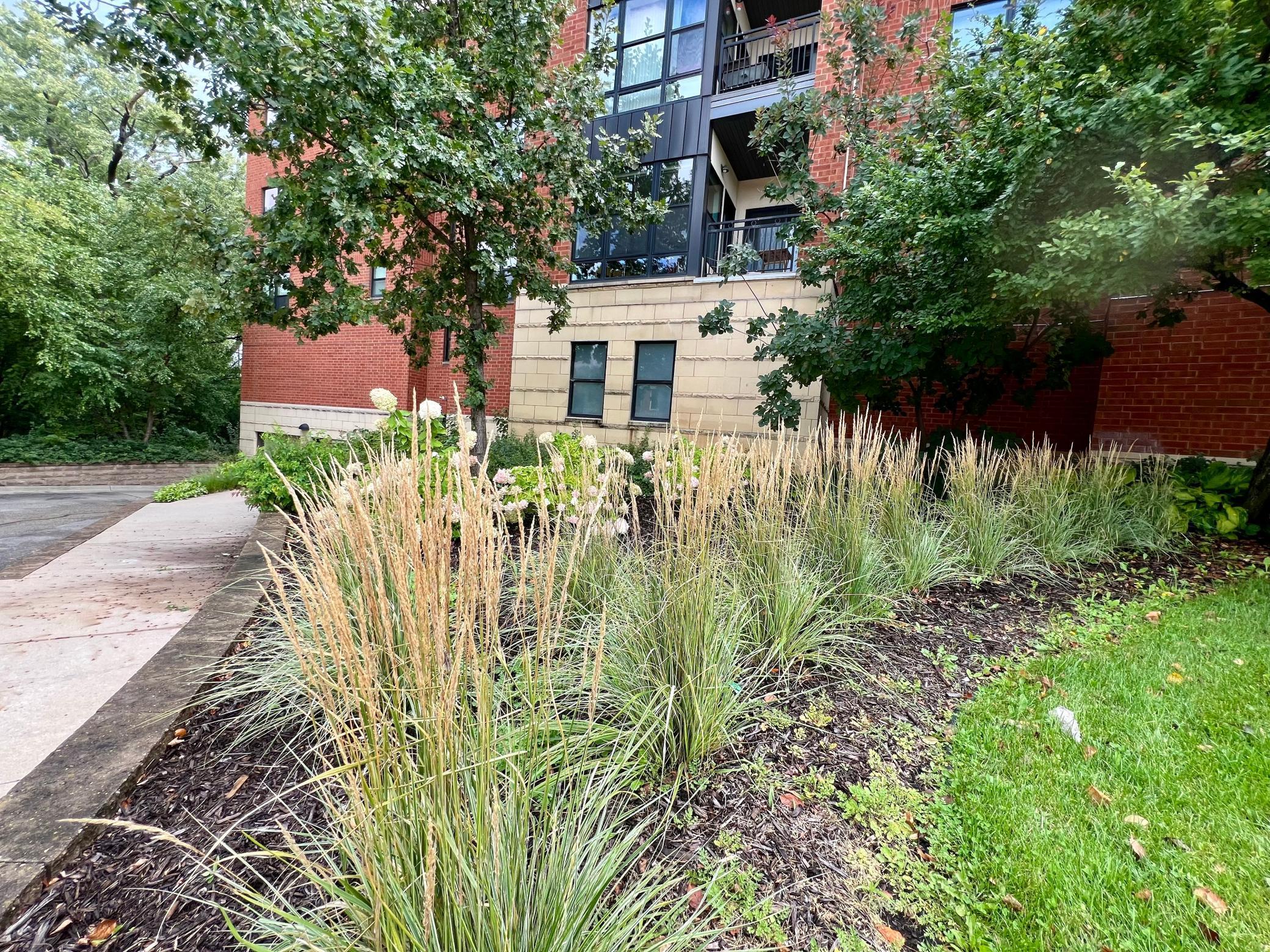 101 St Olaf Avenue, Unit 407 Northfield, MN 55057 - Photo 36 of 43