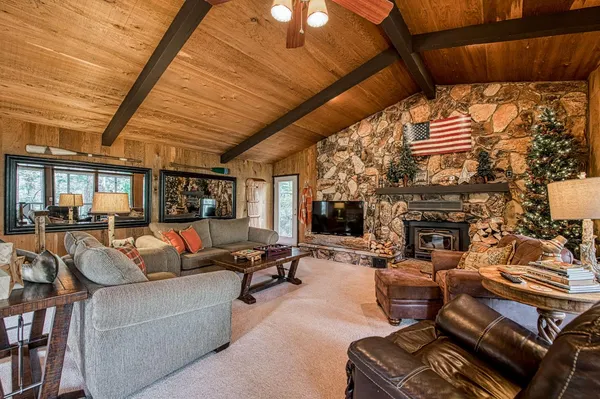 a living room with furniture a fireplace and a potted plant
