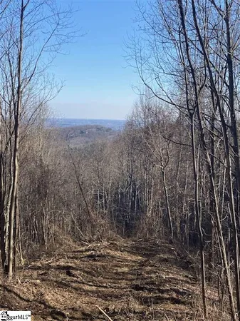 $149,900 | 270 Foggy Cut Lane, Landrum, SC 29356