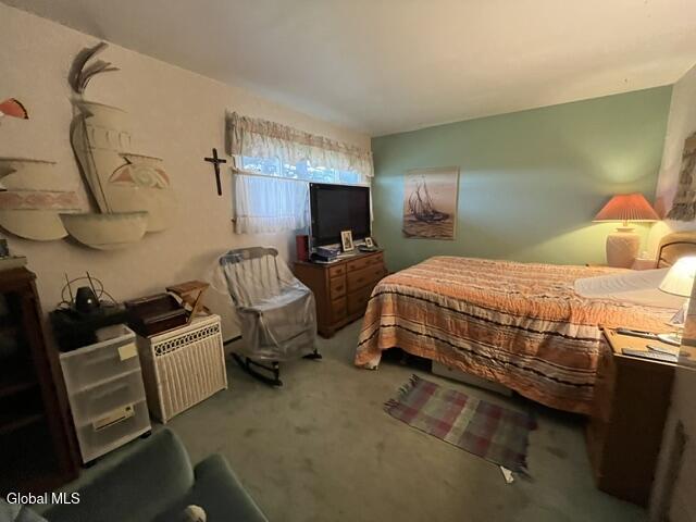 66 Pollock Road Colonie, NY 12110 - Photo 16 of 17 IMG_4839