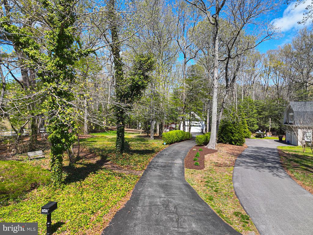 10625 North Bunting Road Bishopville, MD 21813 - Photo 3 of 80