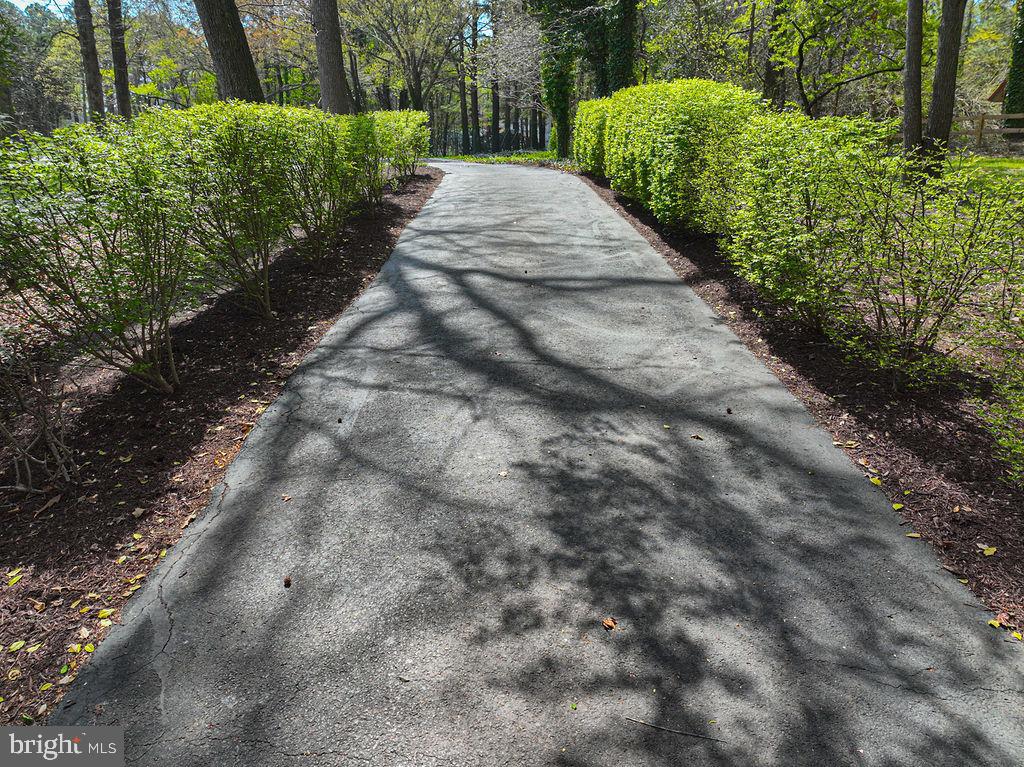 10625 North Bunting Road Bishopville, MD 21813 - Photo 4 of 80