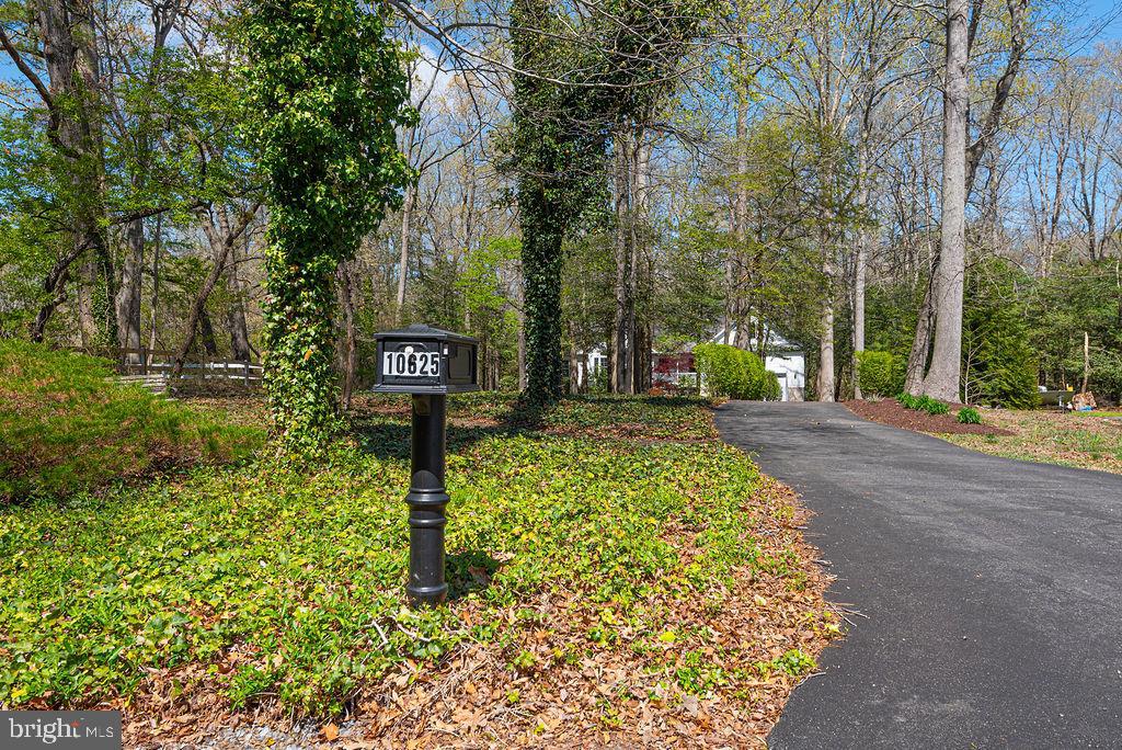 10625 North Bunting Road Bishopville, MD 21813 - Photo 6 of 80