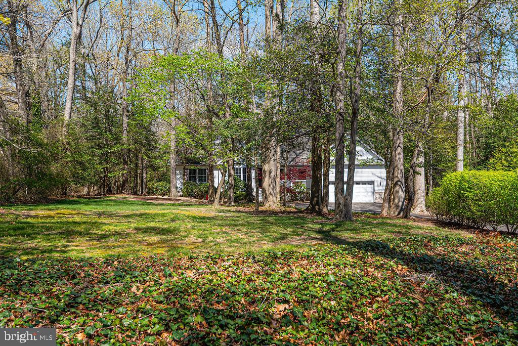 10625 North Bunting Road Bishopville, MD 21813 - Photo 63 of 80