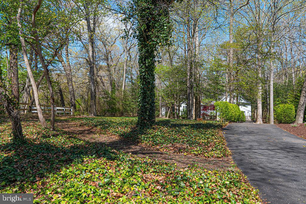 10625 North Bunting Road Bishopville, MD 21813 - Photo 64 of 80