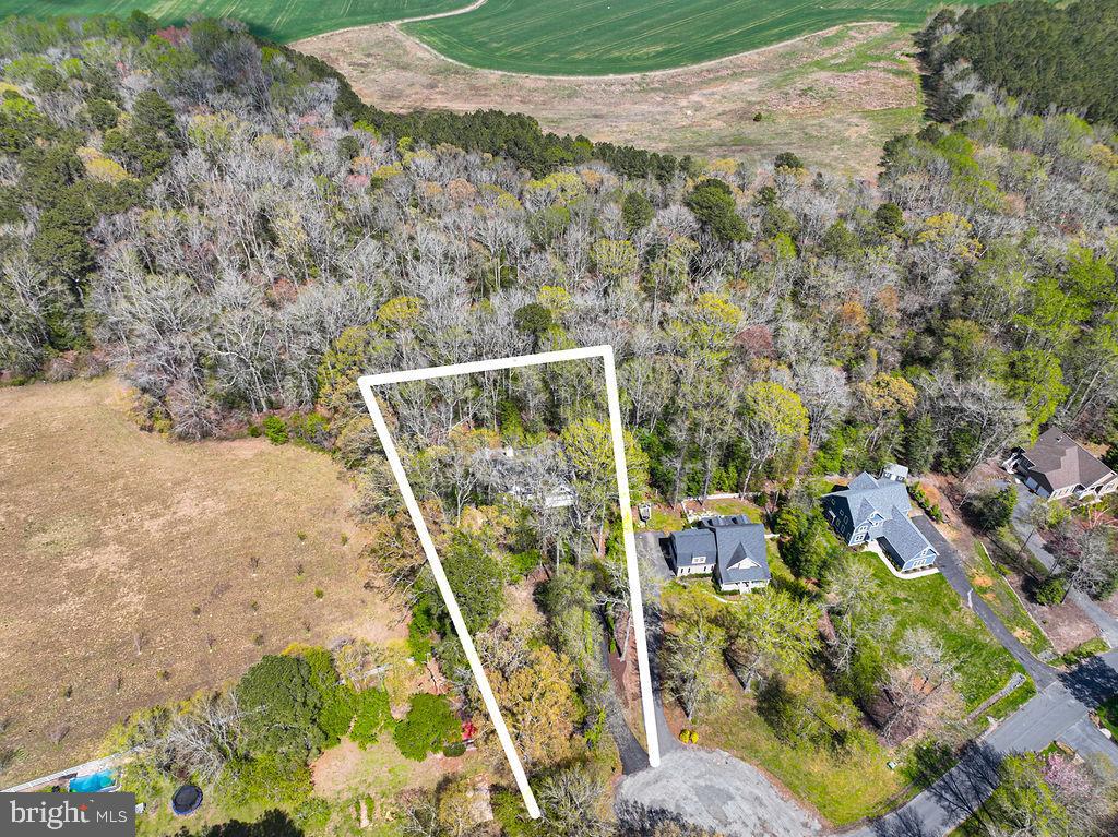 10625 North Bunting Road Bishopville, MD 21813 - Photo 7 of 80