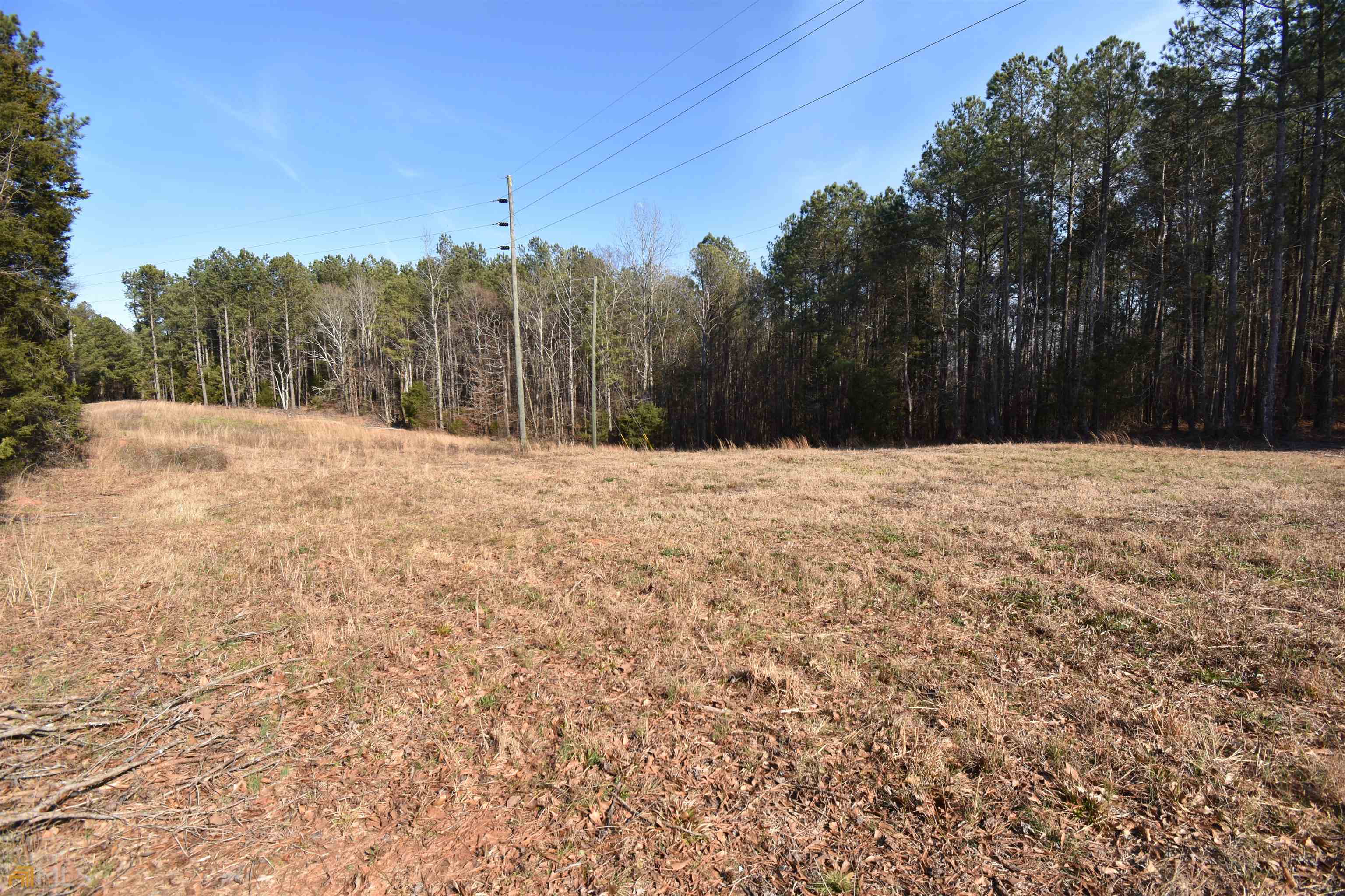 234 Buddy Faust Road Lexington, GA 30648 - Photo 1 of 1 a view of empty space with trees
