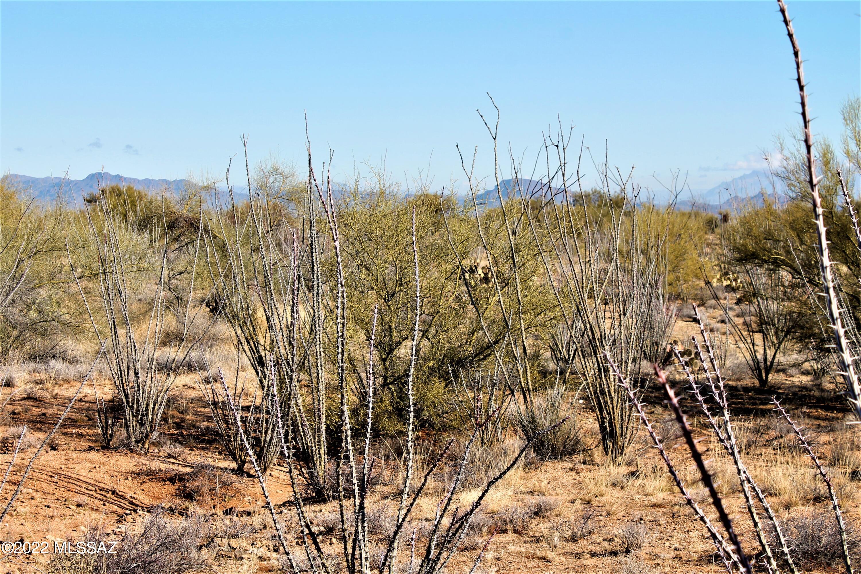 Tbd West Pima Mine Road, Unit 2 Sahuarita, AZ 85629 - Photo 10 of 12