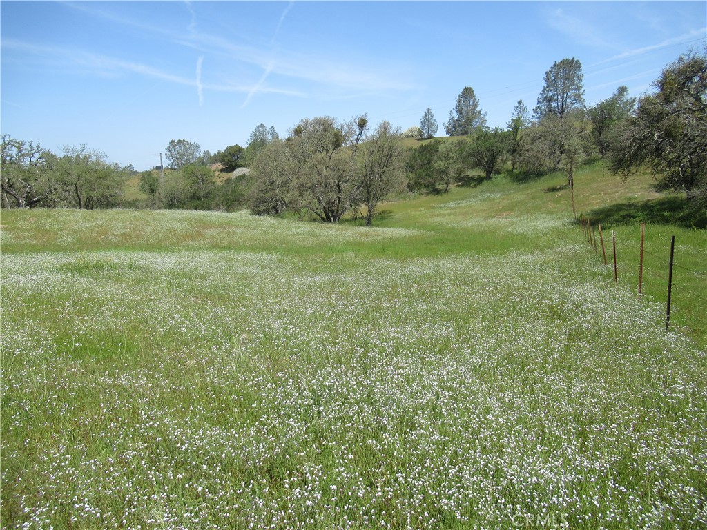 0 Katacreek Road Creston, CA 93432 - Photo 1 of 1 Gallery Image 1