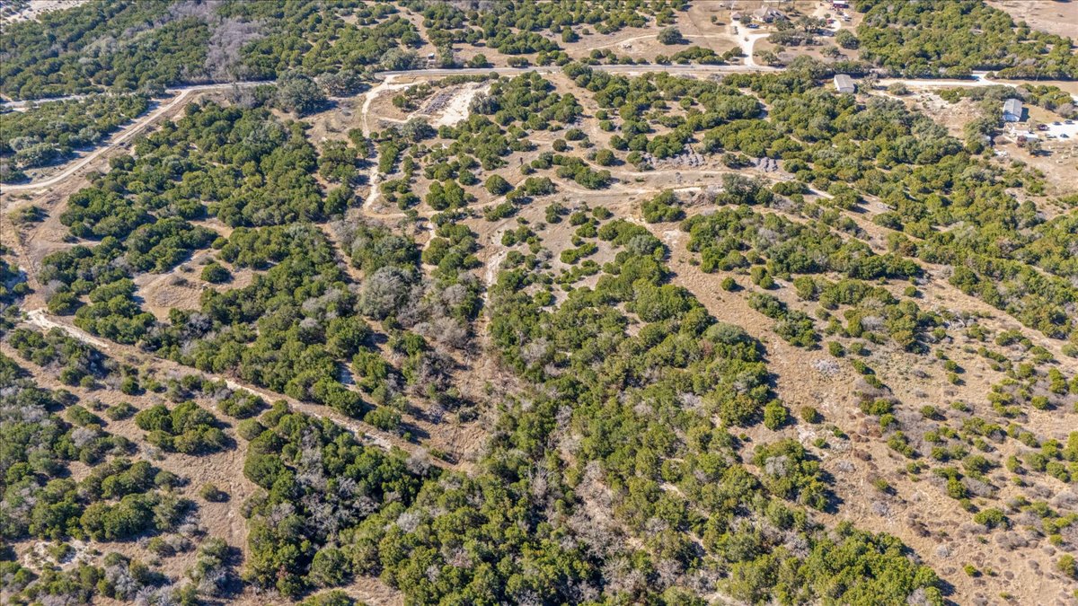 16350 Cedar Valley Road Killeen, TX 76542 - Photo 13 of 31 view of a yard