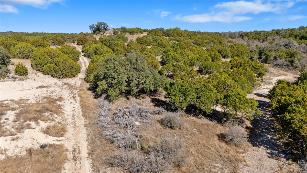 16350 Cedar Valley Road Killeen, TX 76542 - Photo 17 of 31 a view of a forest with a forest