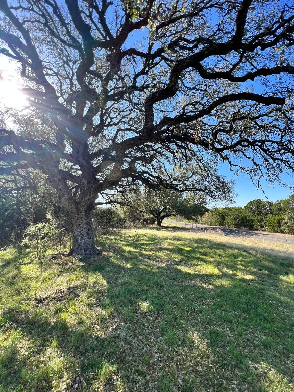 16350 Cedar Valley Road Killeen, TX 76542 - Photo 21 of 31 a view of a yard with a tree