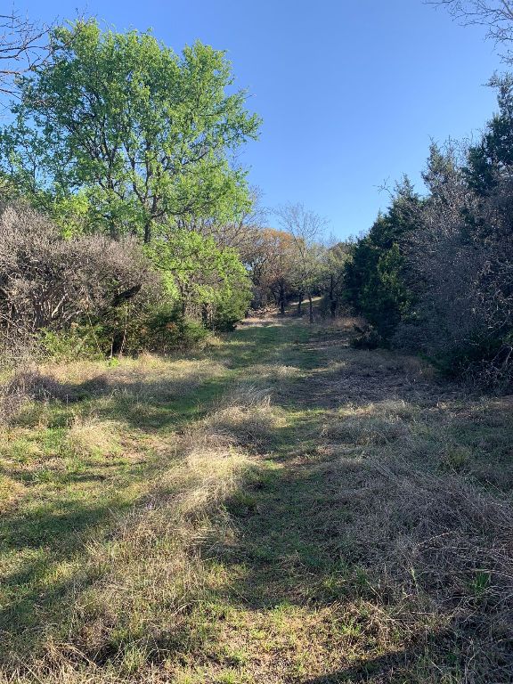 16350 Cedar Valley Road Killeen, TX 76542 - Photo 25 of 31 a big yard with lots of green space
