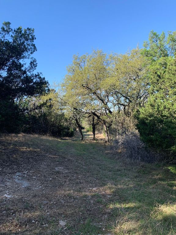 16350 Cedar Valley Road Killeen, TX 76542 - Photo 30 of 31 a view of a yard with a tree