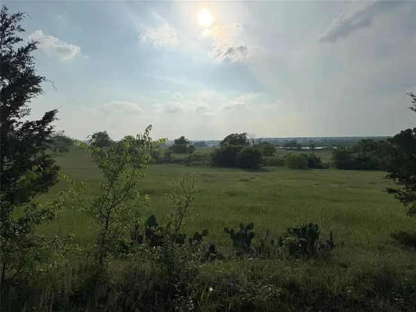 a view of a field of grass and trees