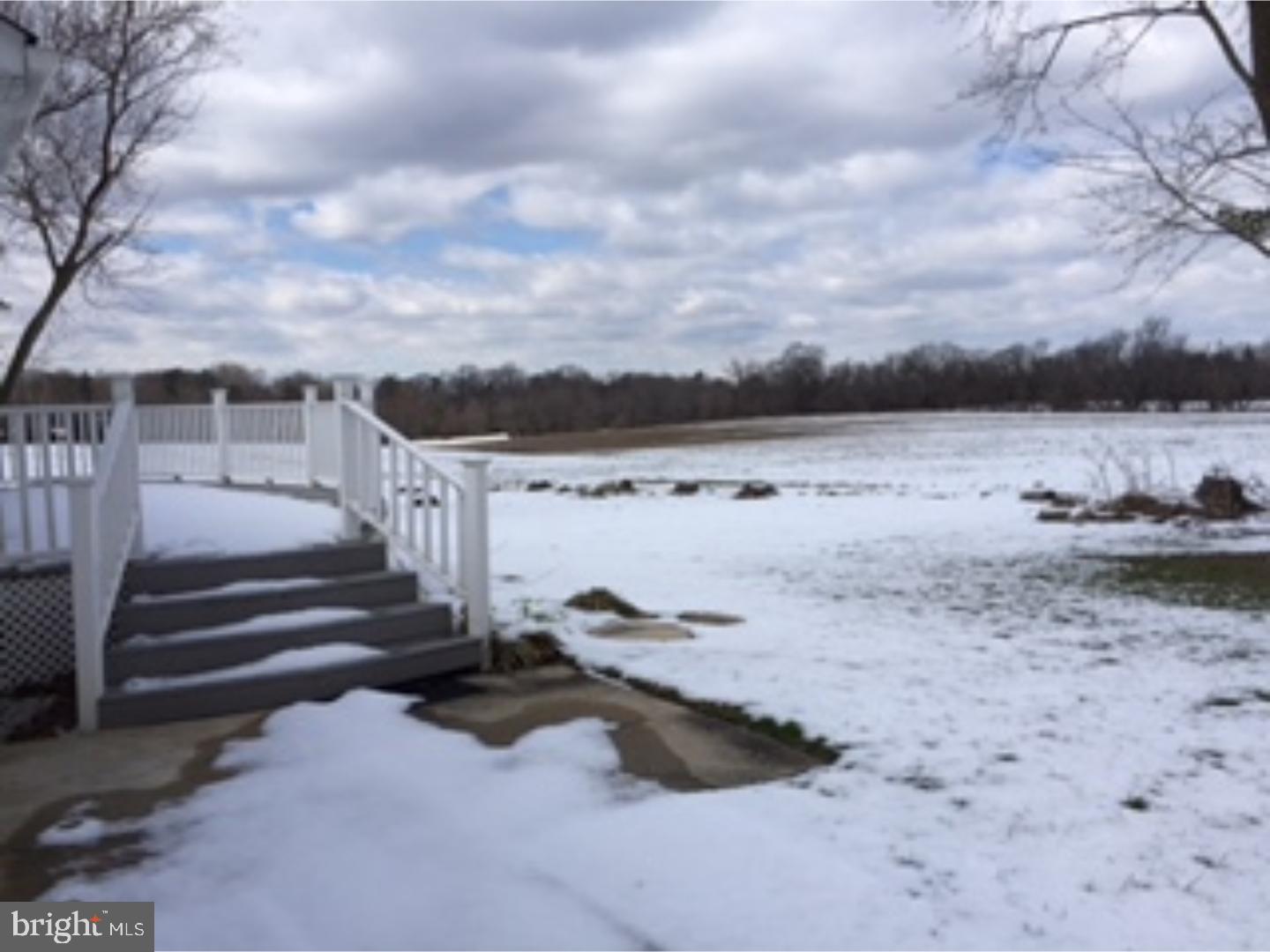 91 Casper Road Bridgeton, NJ 08302 - Photo 23 of 25 Back Yard
