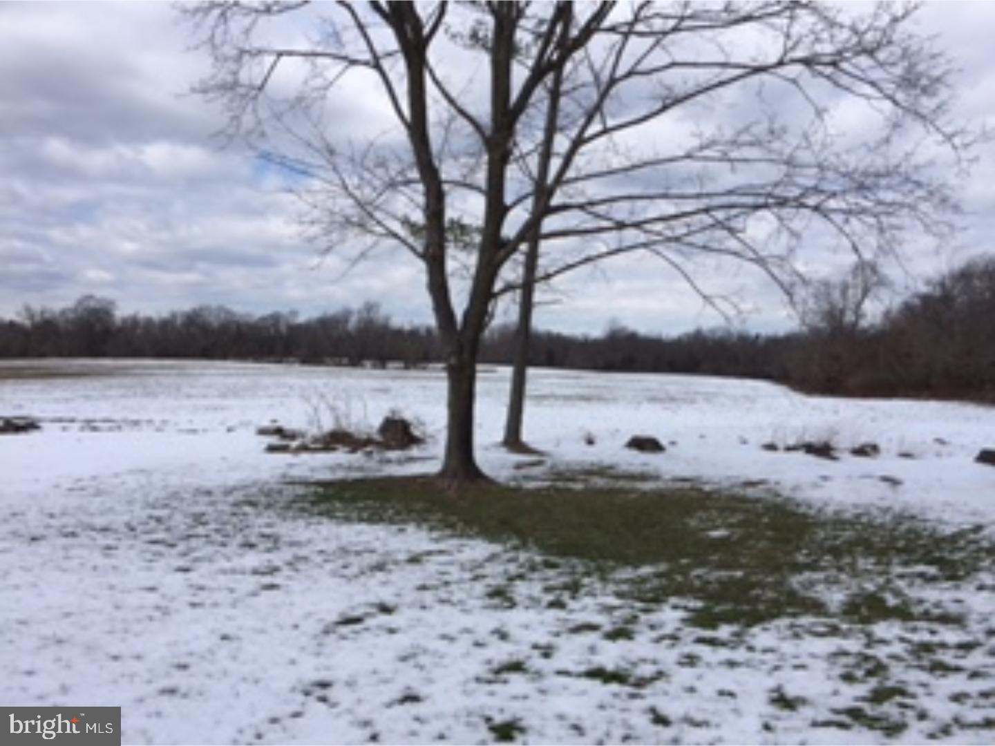91 Casper Road Bridgeton, NJ 08302 - Photo 25 of 25 Back Yard