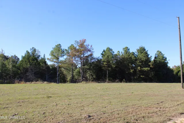 $30,000 | 90 Bull Horn Road, Como, MS 38619