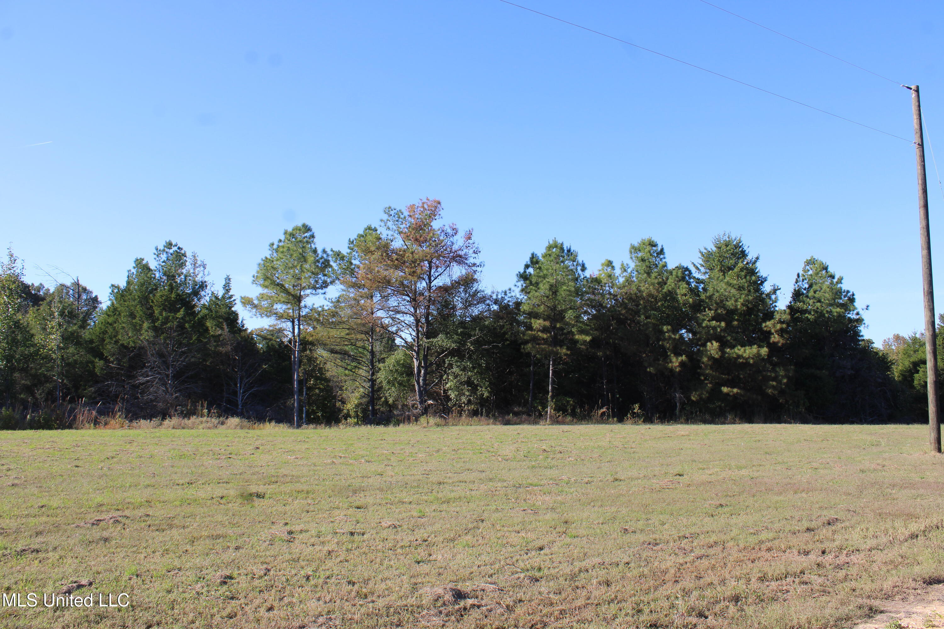 90 Bull Horn Road Como, MS 38619 - Photo 12 of 21 IMG_6841