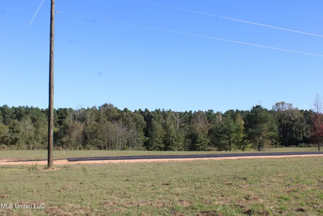 $30,000 | 90 Bull Horn Road, Como, MS 38619