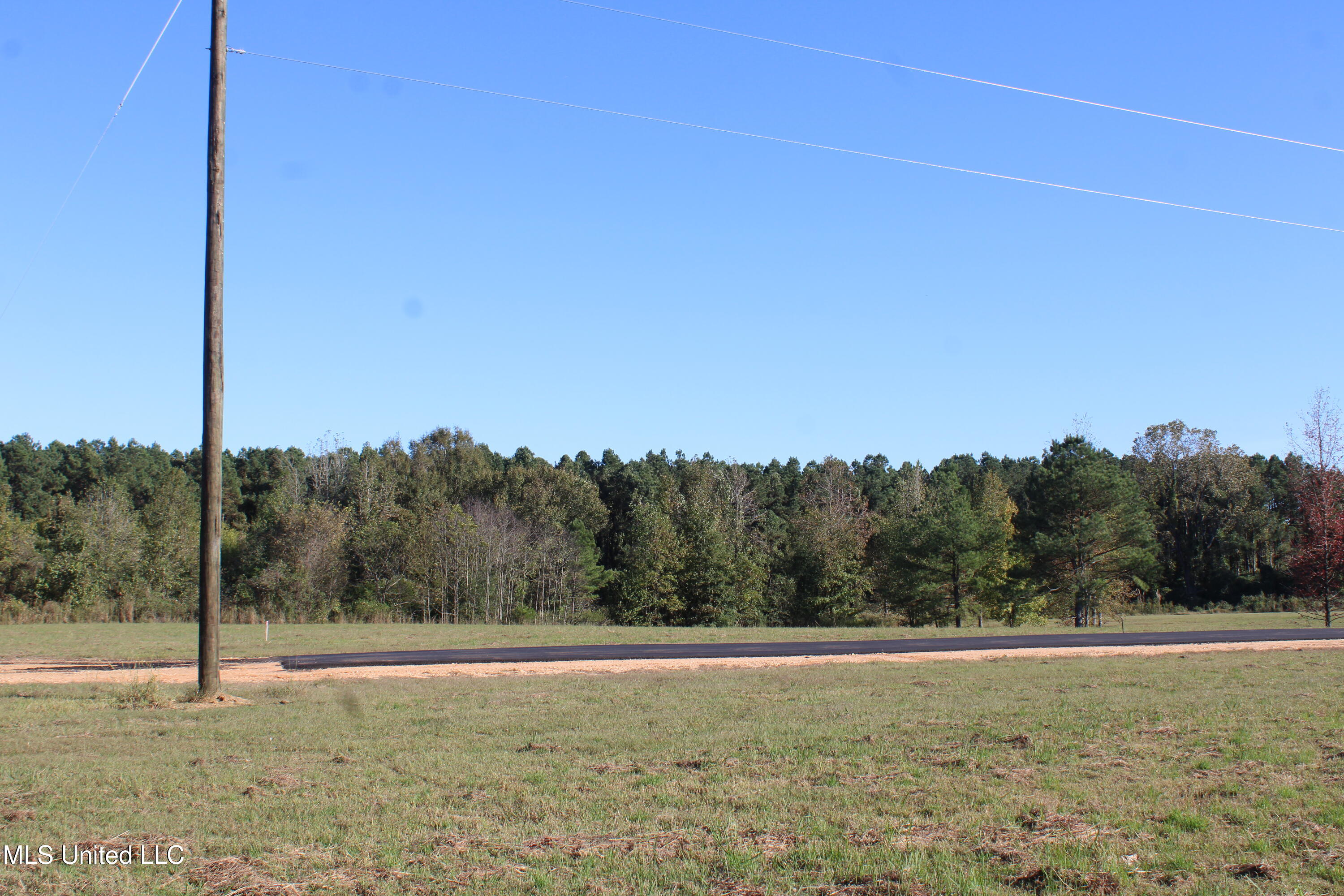 90 Bull Horn Road Como, MS 38619 - Photo 16 of 21 IMG_6845