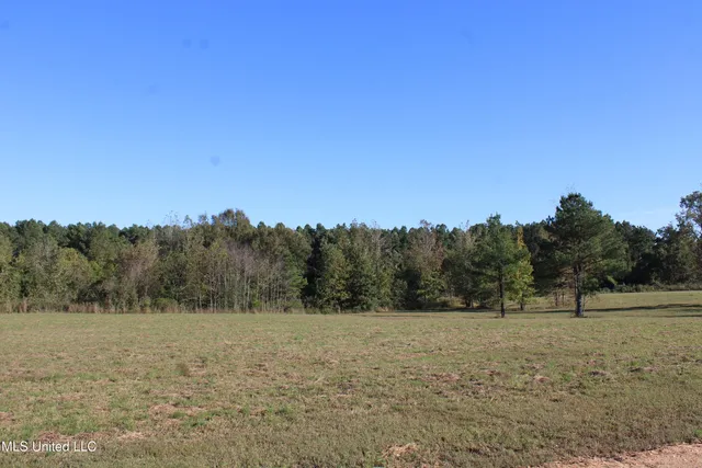 $30,000 | 90 Bull Horn Road, Como, MS 38619