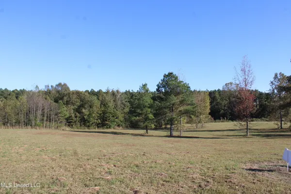 $30,000 | 90 Bull Horn Road, Como, MS 38619