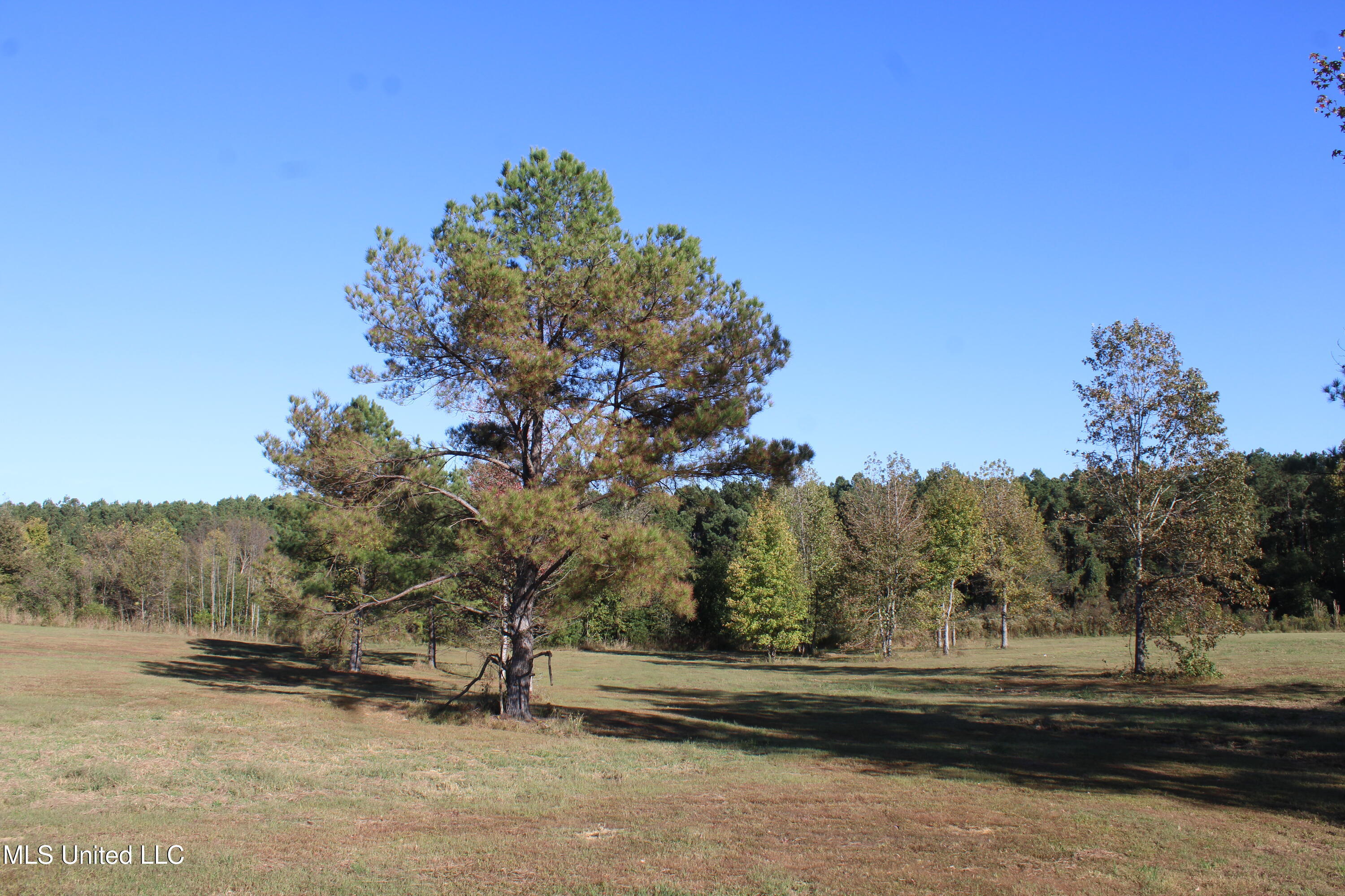 90 Bull Horn Road Como, MS 38619 - Photo 20 of 21 IMG_6849