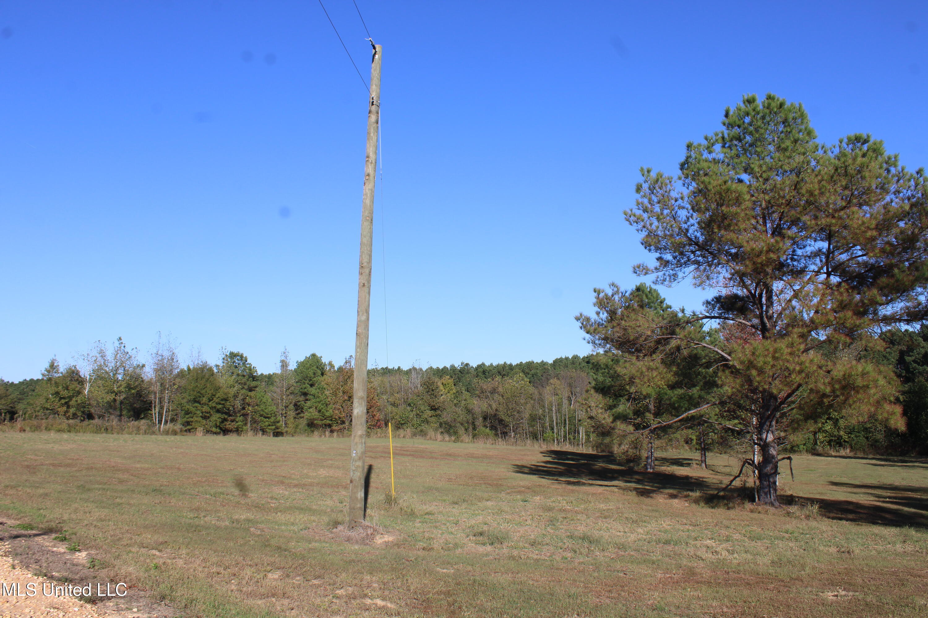 90 Bull Horn Road Como, MS 38619 - Photo 21 of 21 IMG_6850