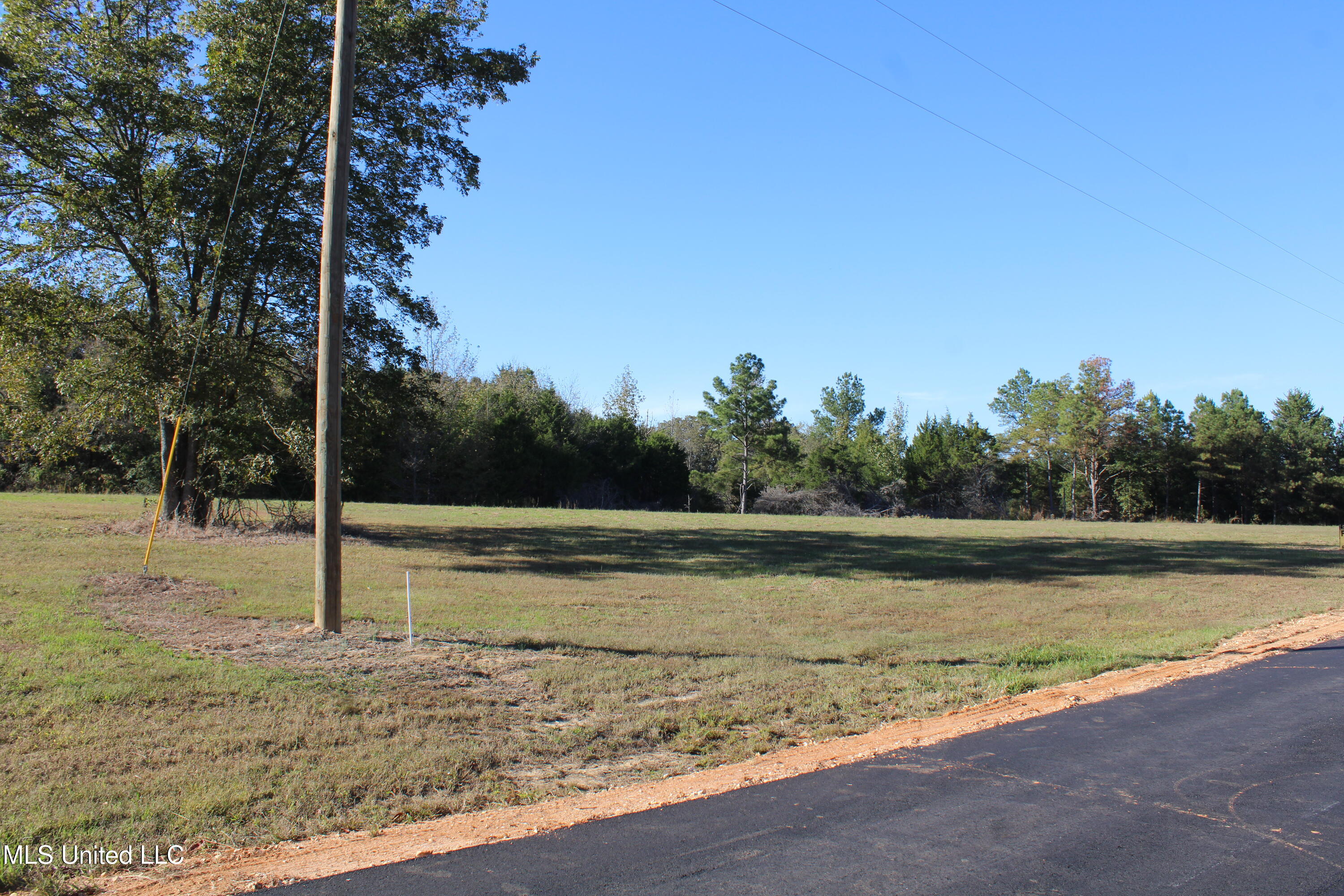 90 Bull Horn Road Como, MS 38619 - Photo 9 of 21 IMG_6838
