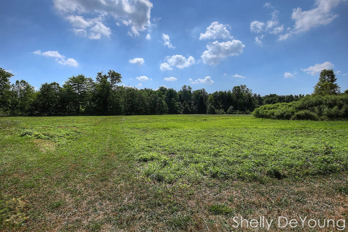 6250 Ingalls Road Belding, MI 48809 - Photo 32 of 41 IMG_6281